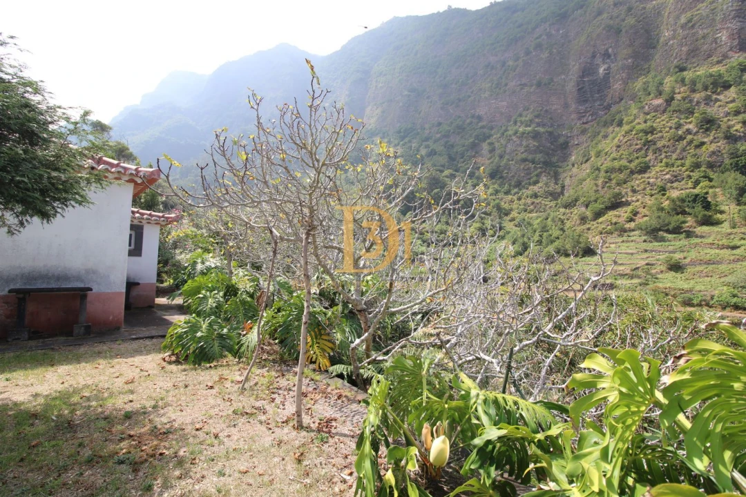 Quinta T3 para Venda em São Vicente Foto 17