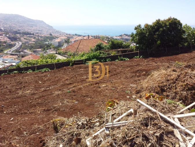 Terreno para Venda em Santo Antonio Foto 18