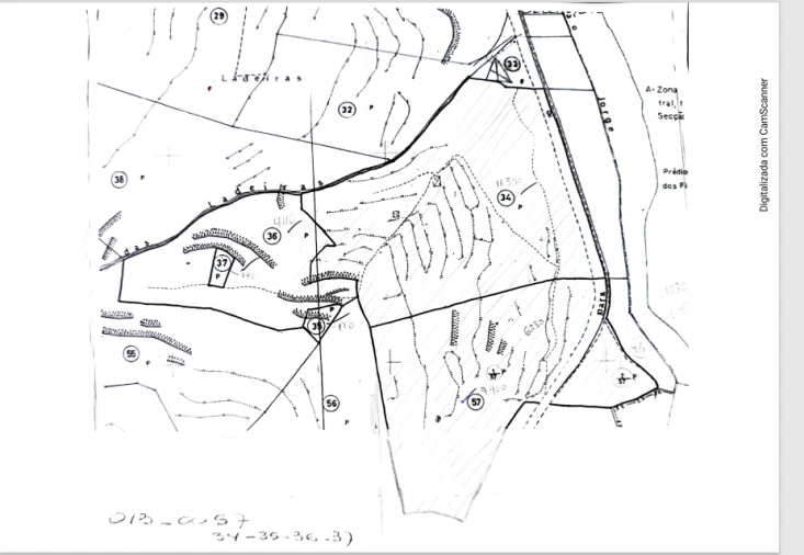 Terreno para Venda em São Jorge Foto 14