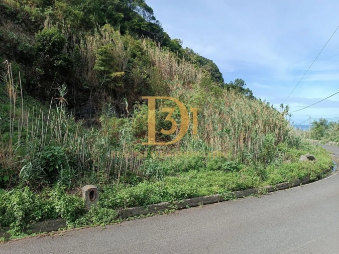 Terreno para Venda em São Jorge Foto 5