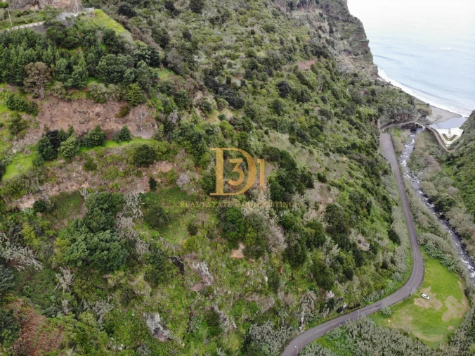 Terreno para Venda em São Jorge Foto 13