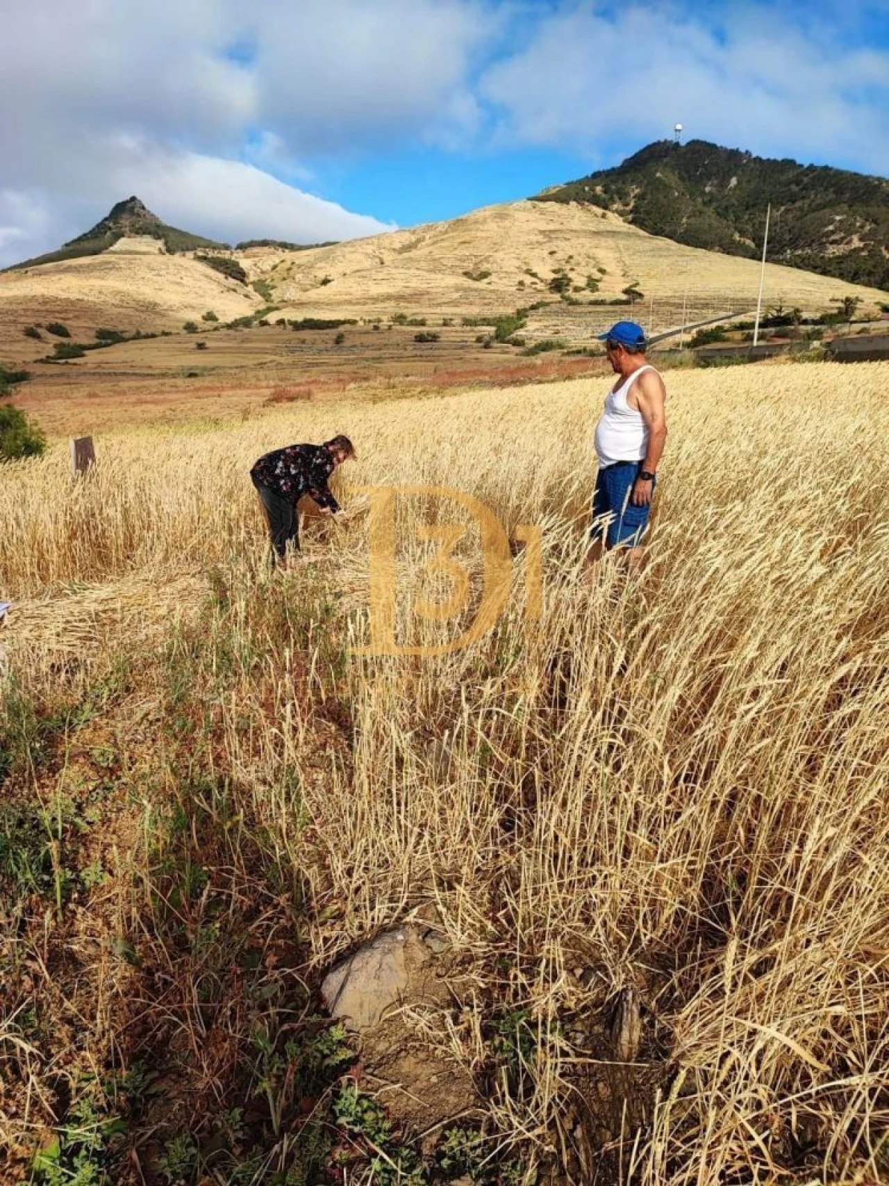 Terreno para Venda em Porto Santo Foto 2