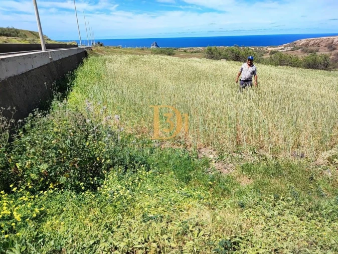 Terreno para Venda em Porto Santo Foto 3