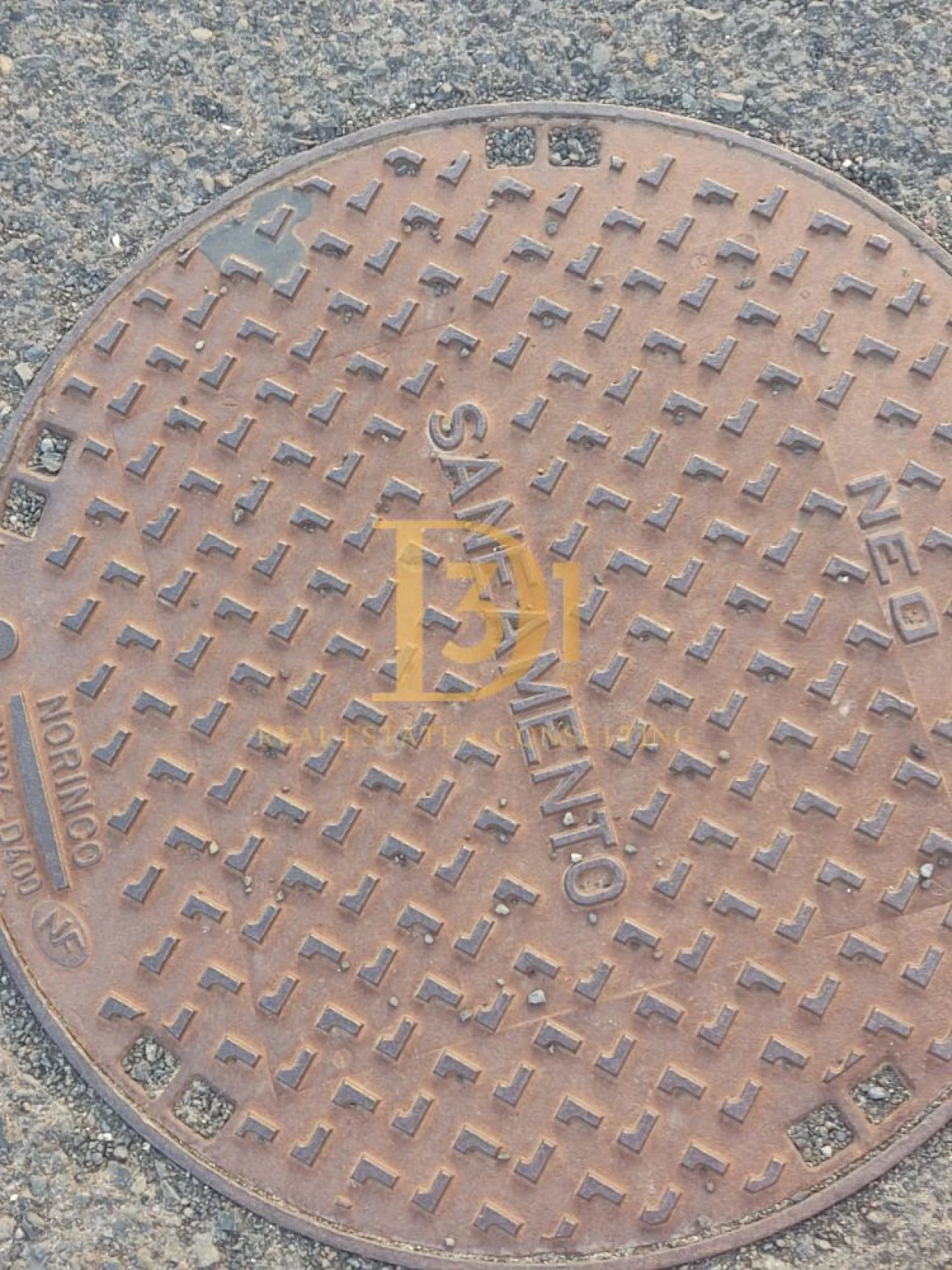 Terreno para Venda em Porto Santo Foto 5