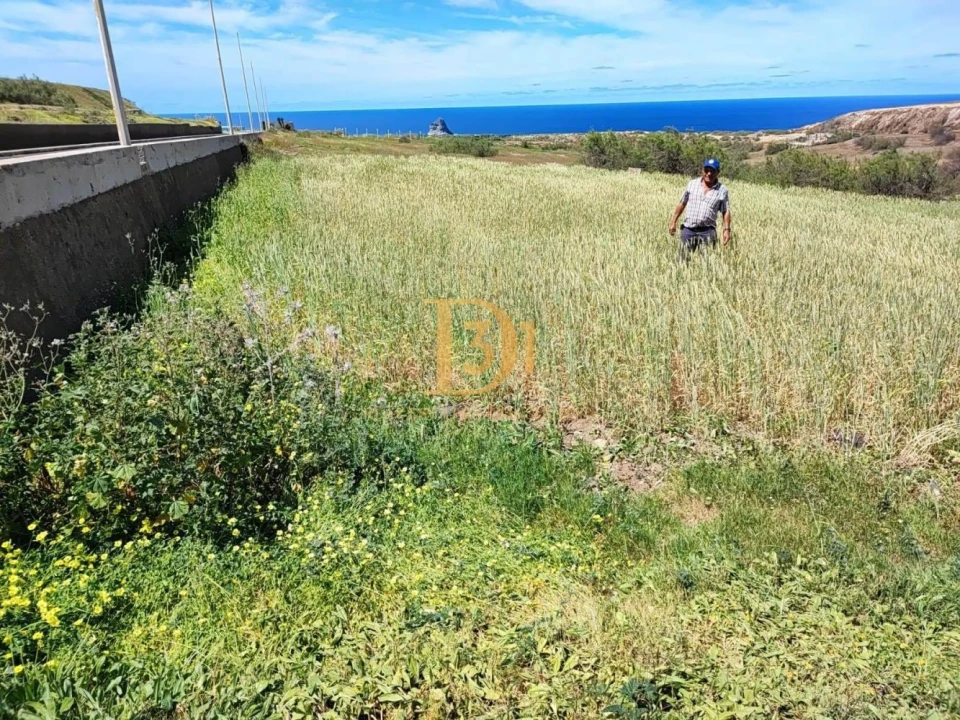 Terreno para Venda em Porto Santo Foto 3