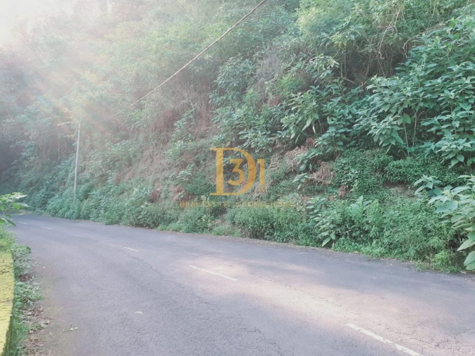 Terreno para Venda em Santo Antonio da Serra Foto 6