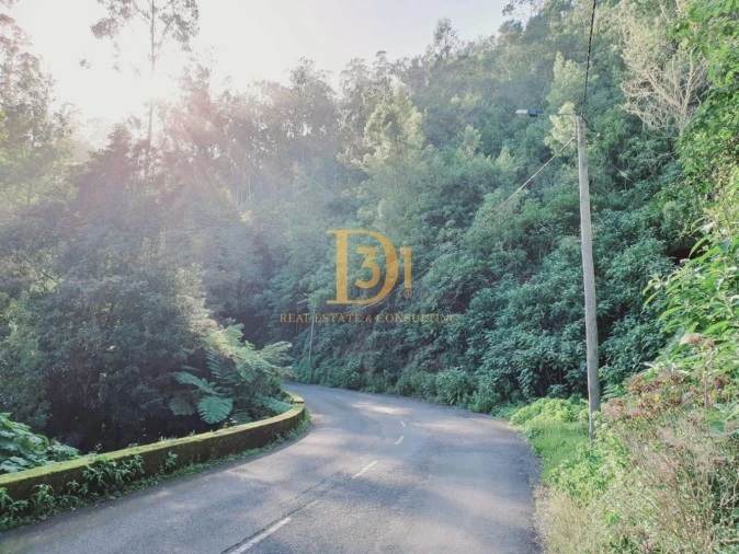 Terreno para Venda em Santo Antonio da Serra Foto 5