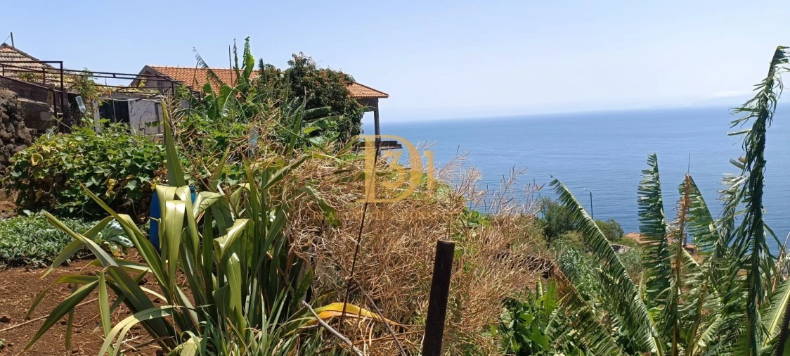 Moradia T3 para Venda em Santa Cruz Foto 16