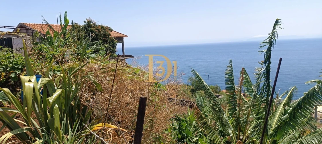 Moradia T3 para Venda em Santa Cruz Foto 26