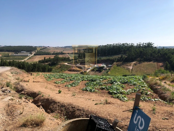 Terreno para Venda em Miragaia e Marteleira Foto 4