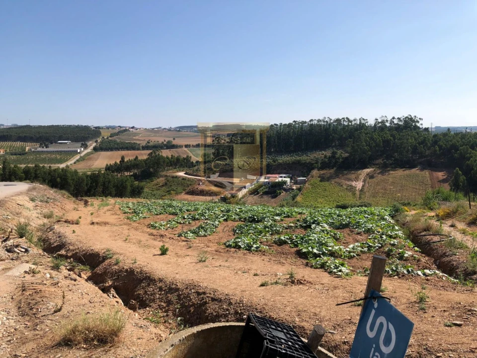 Terreno para Venda em Miragaia e Marteleira Foto 4
