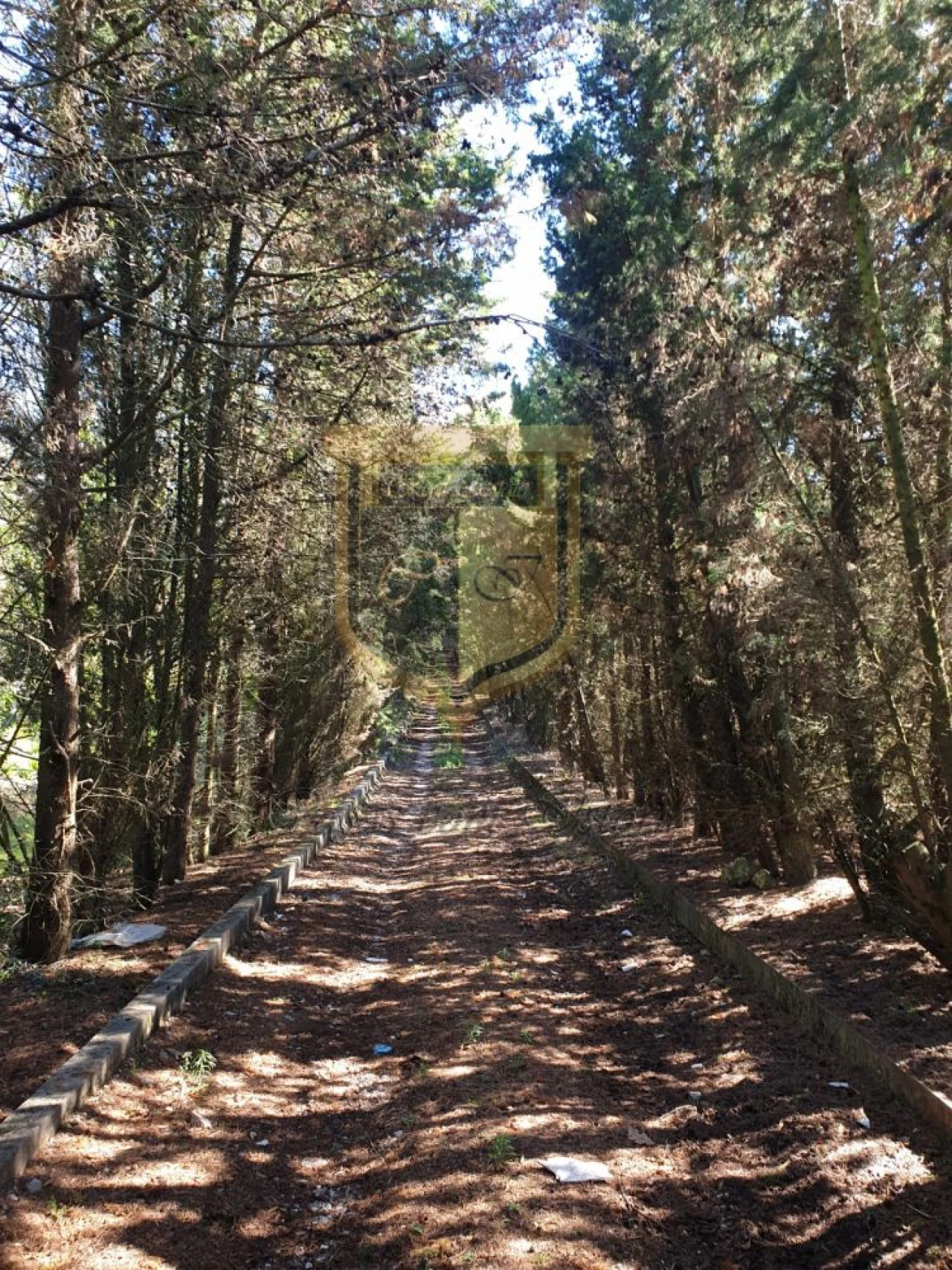 Quinta T0 para Venda em Turcifal Foto 2