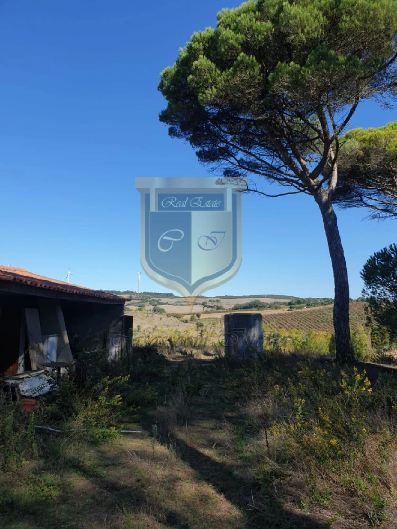 Quinta T0 para Venda em Turcifal Foto 5