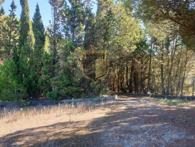 Quinta T0 para Venda em Turcifal Foto 3