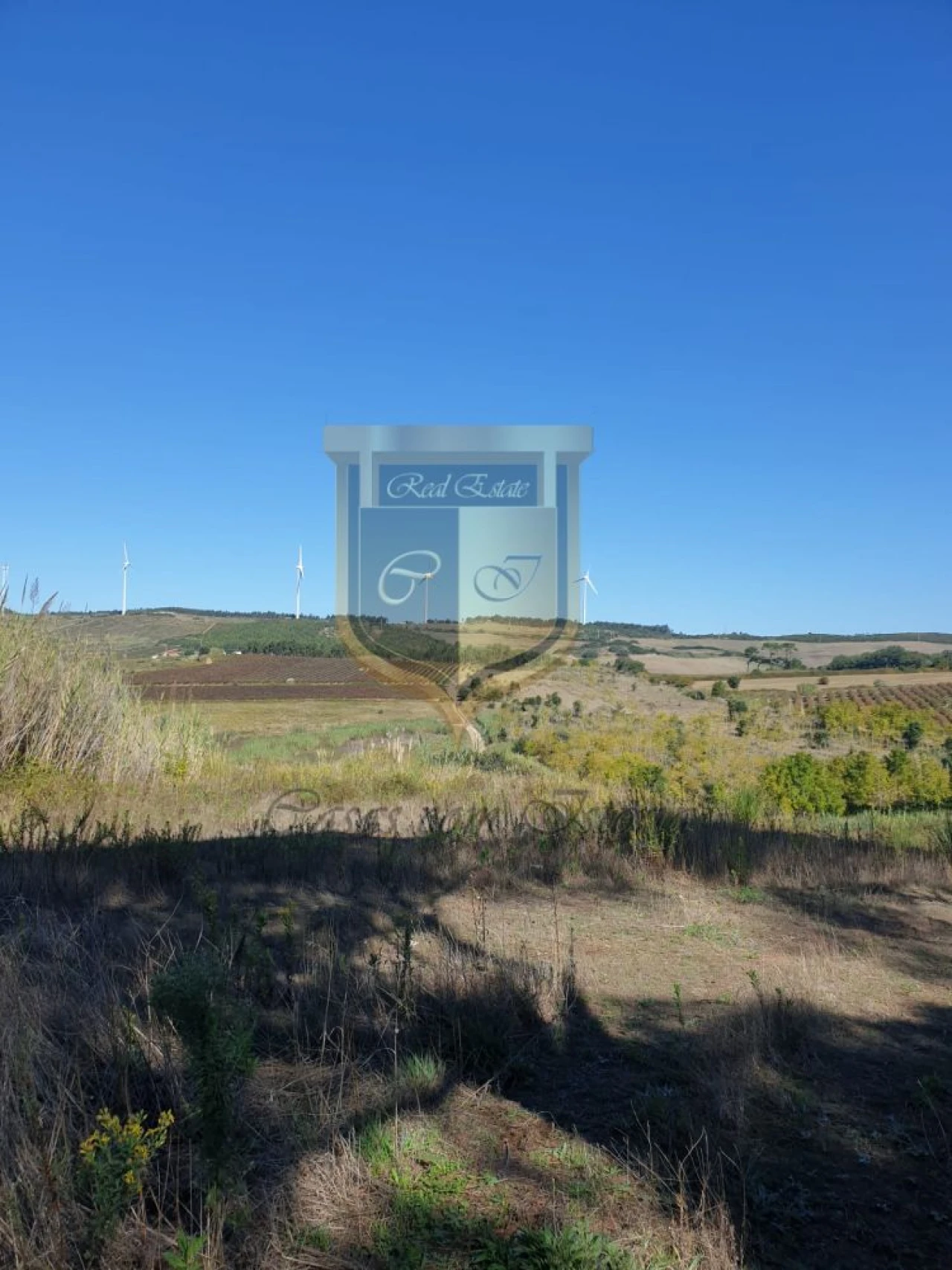 Quinta T0 para Venda em Turcifal Foto 7