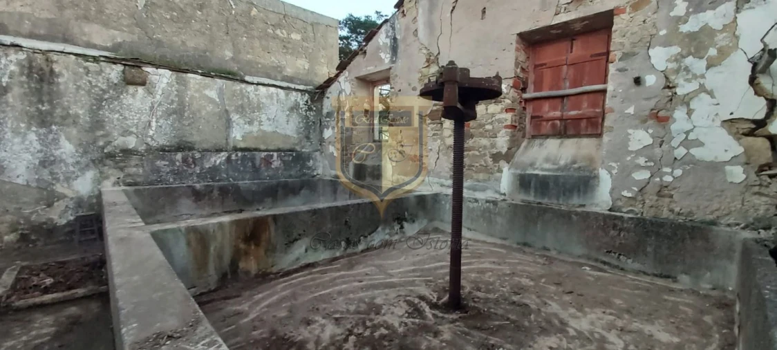 Quinta T5 para Venda em Santa Maria, São Pedro e Matacães Foto 12