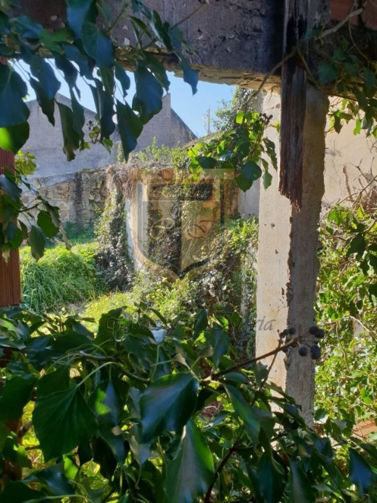 Moradia T3 para Venda em Santa Maria, São Pedro e Matacães Foto 3