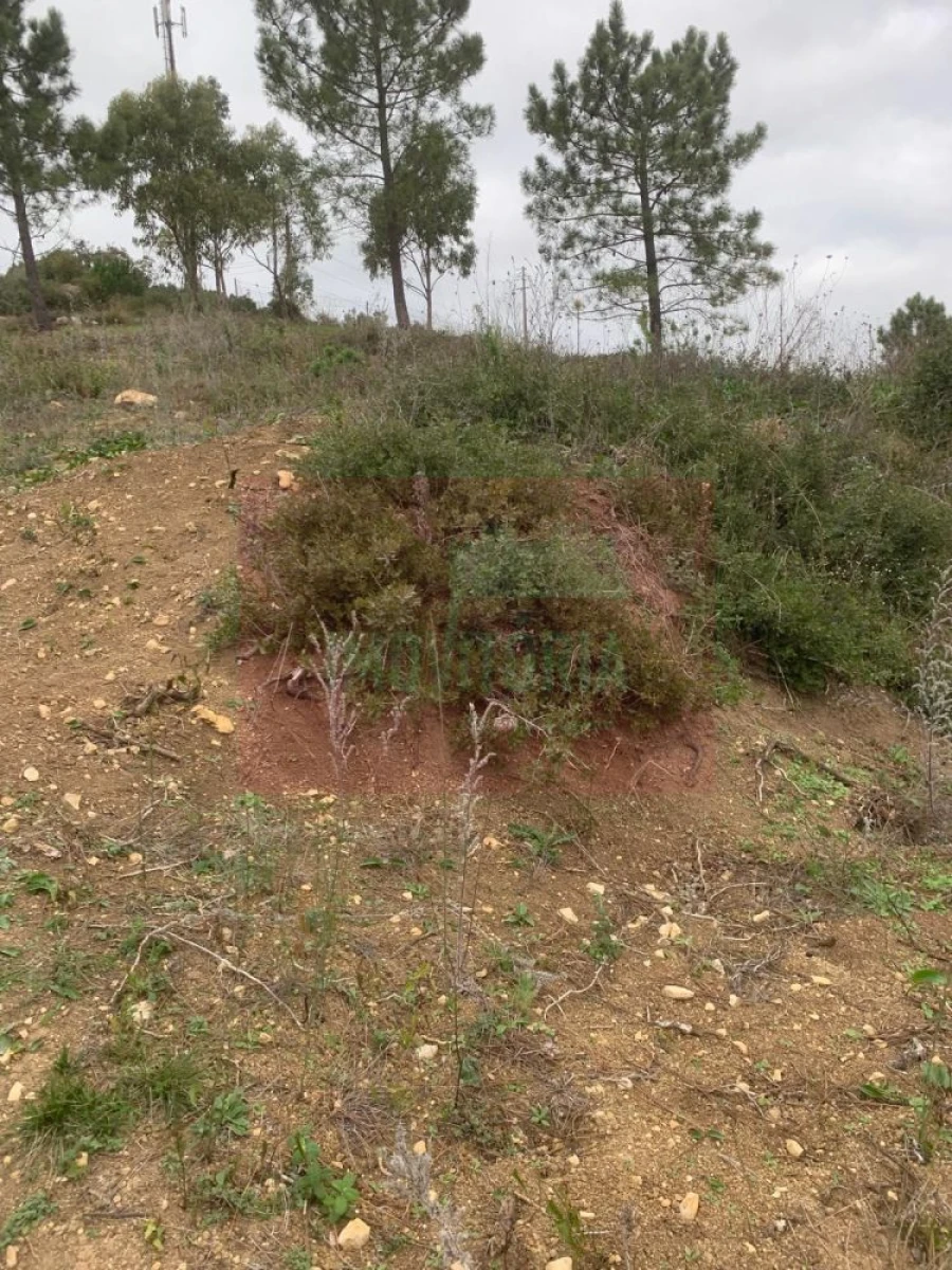 Quinta T0 para Venda em Arranho Foto 24