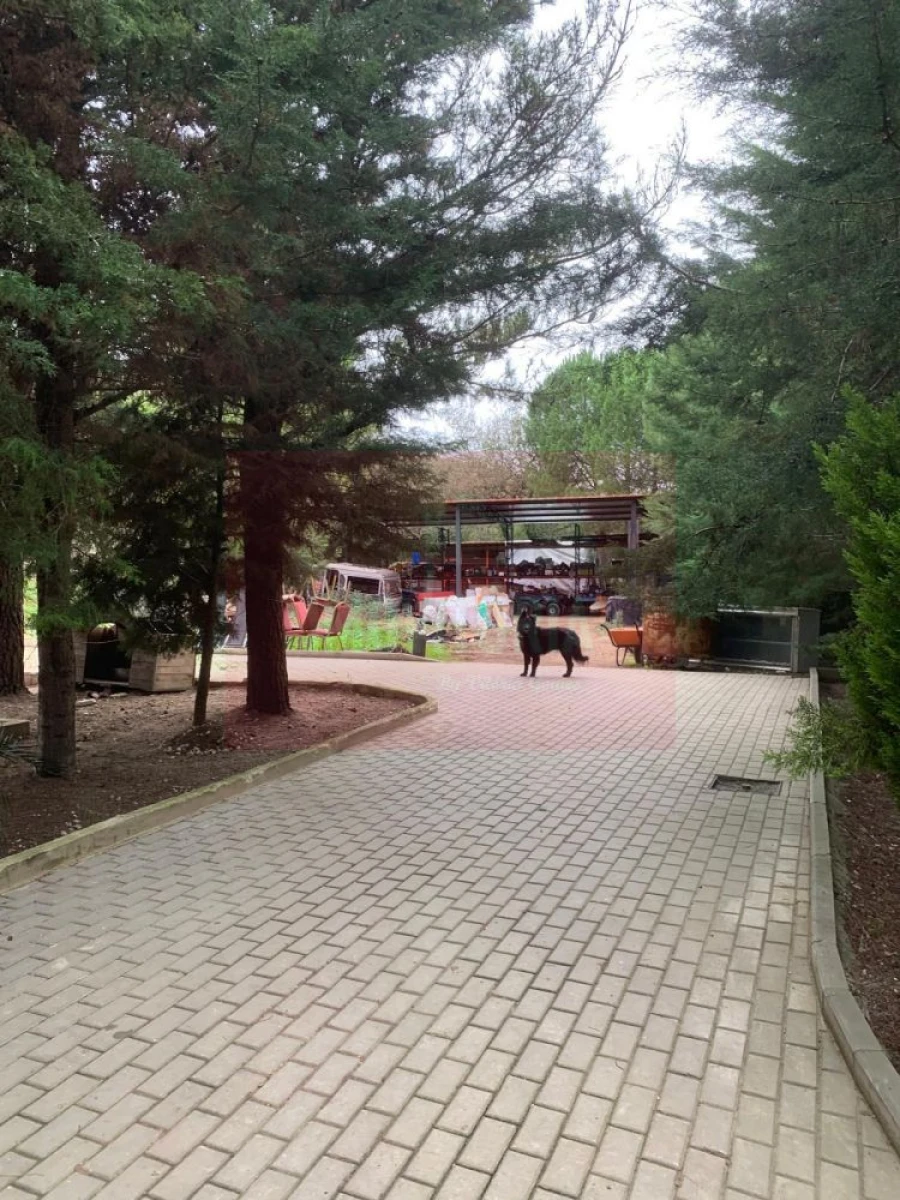 Quinta T0 para Venda em Arranho Foto 13