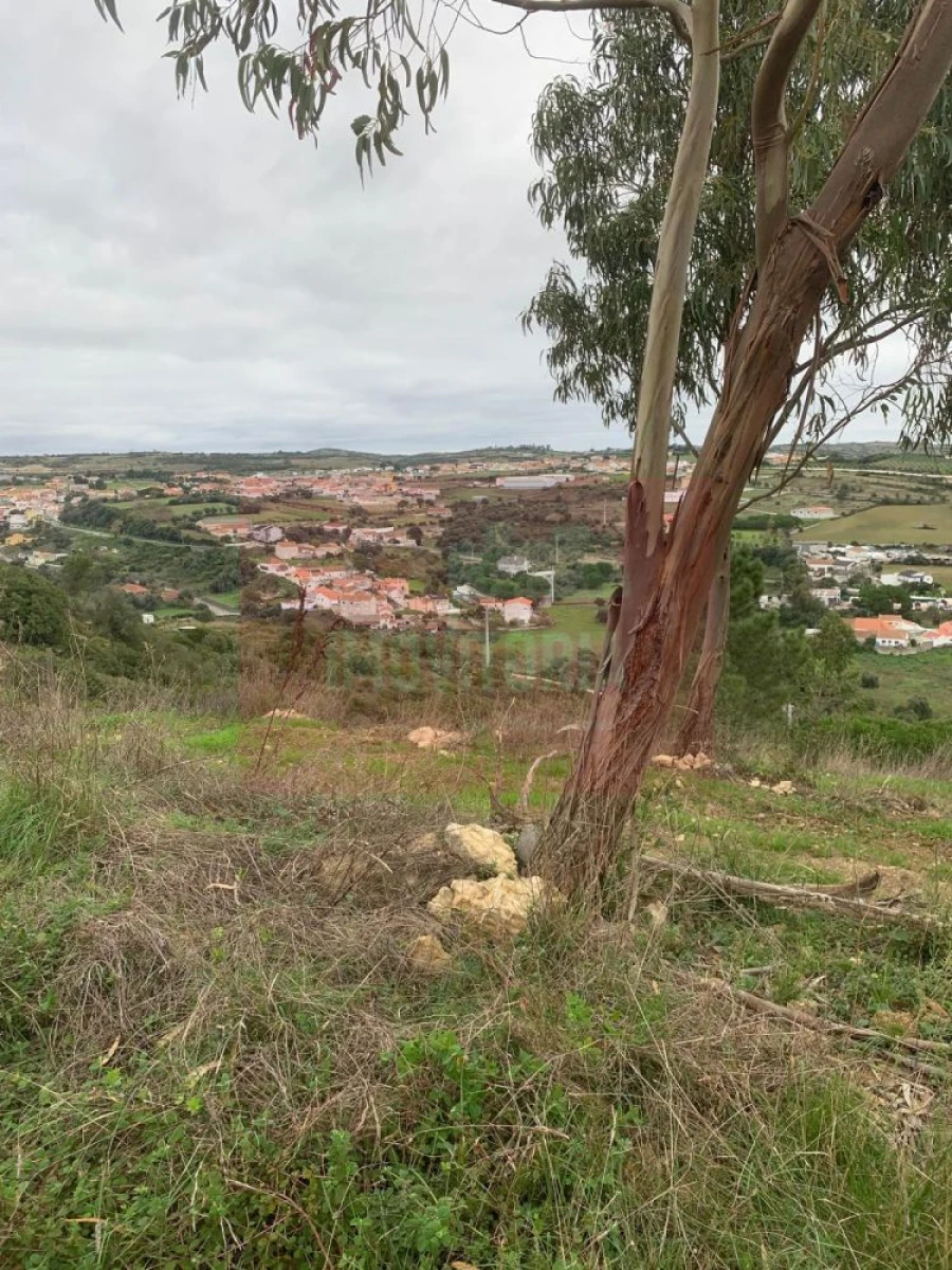 Quinta T0 para Venda em Arranho Foto 30