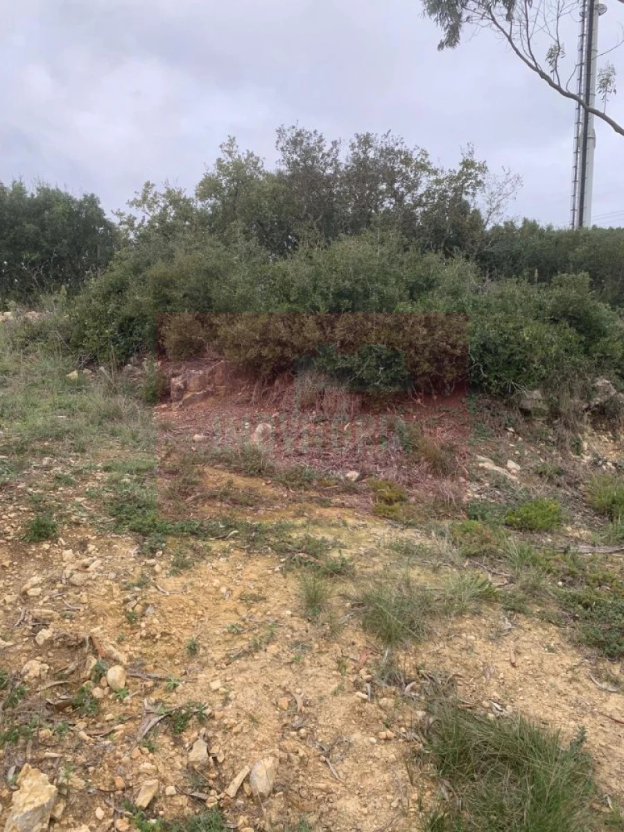 Quinta T0 para Venda em Arranho Foto 31