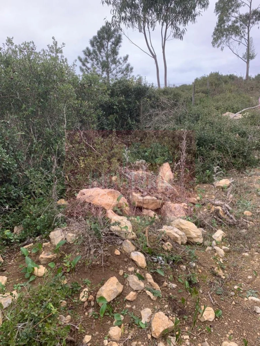 Quinta T0 para Venda em Arranho Foto 25