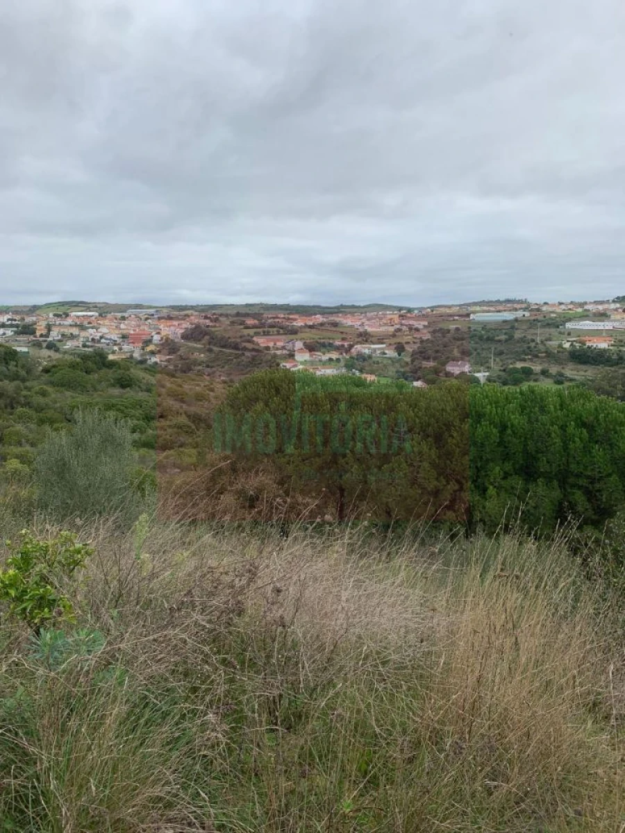 Quinta T0 para Venda em Arranho Foto 33