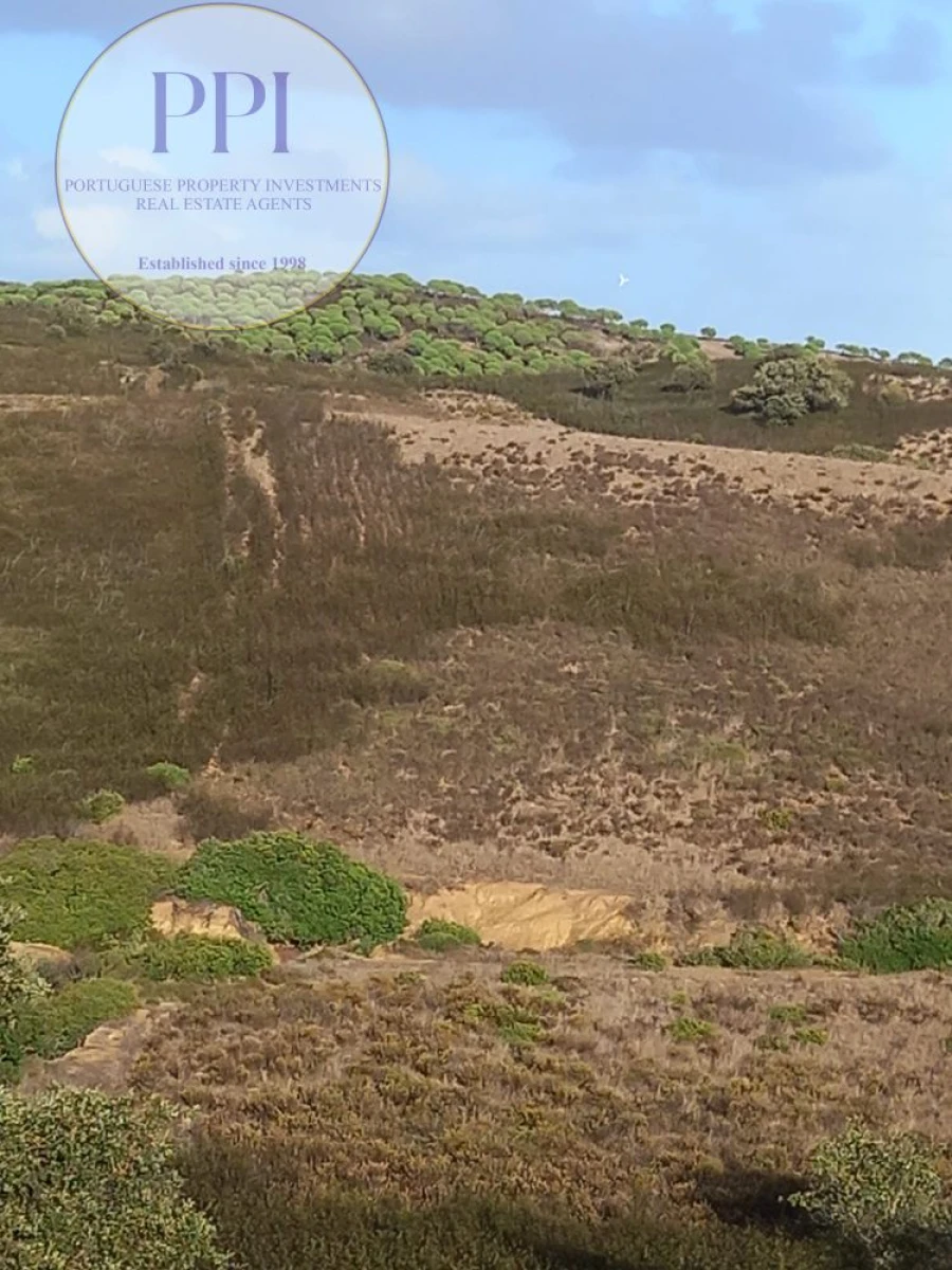 Terreno para Venda em Budens Foto 3