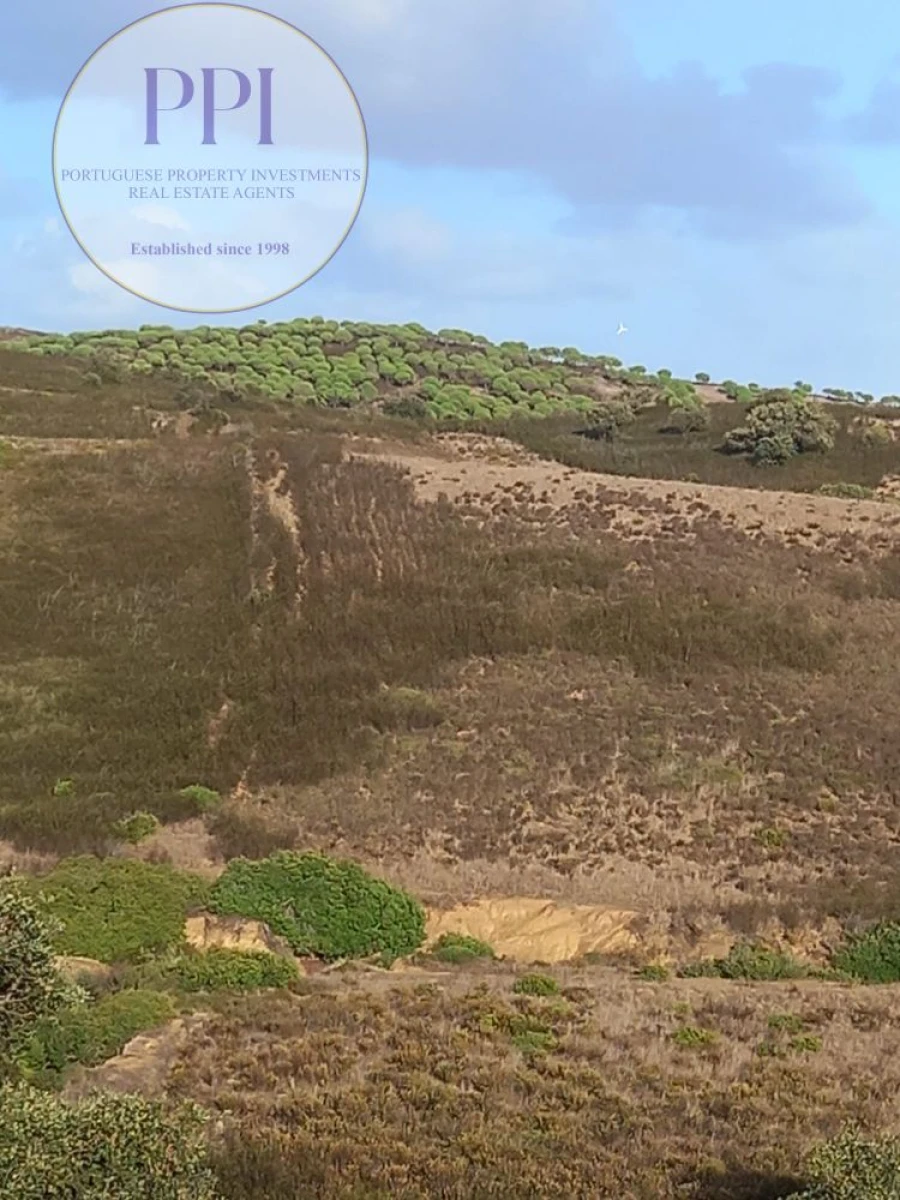 Terreno para Venda em Budens Foto 6