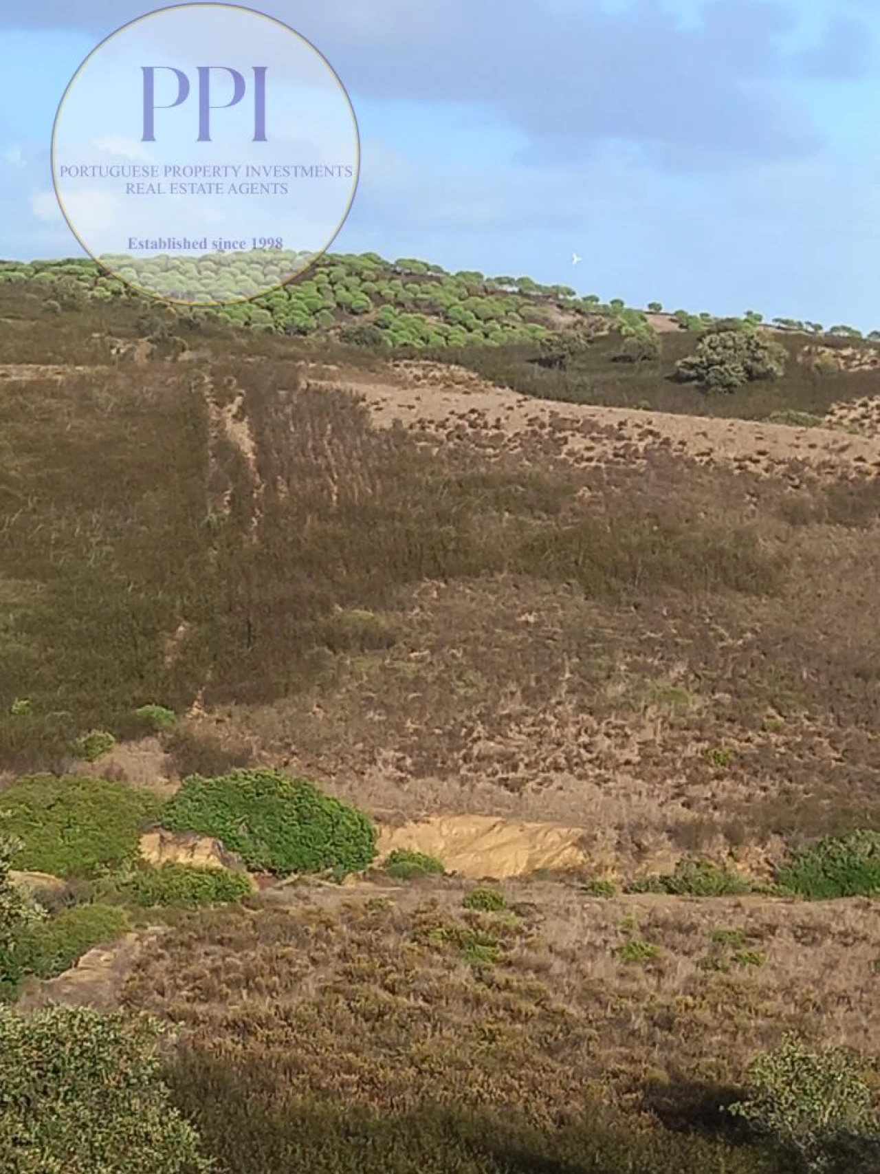Terreno para Venda em Budens Foto 3