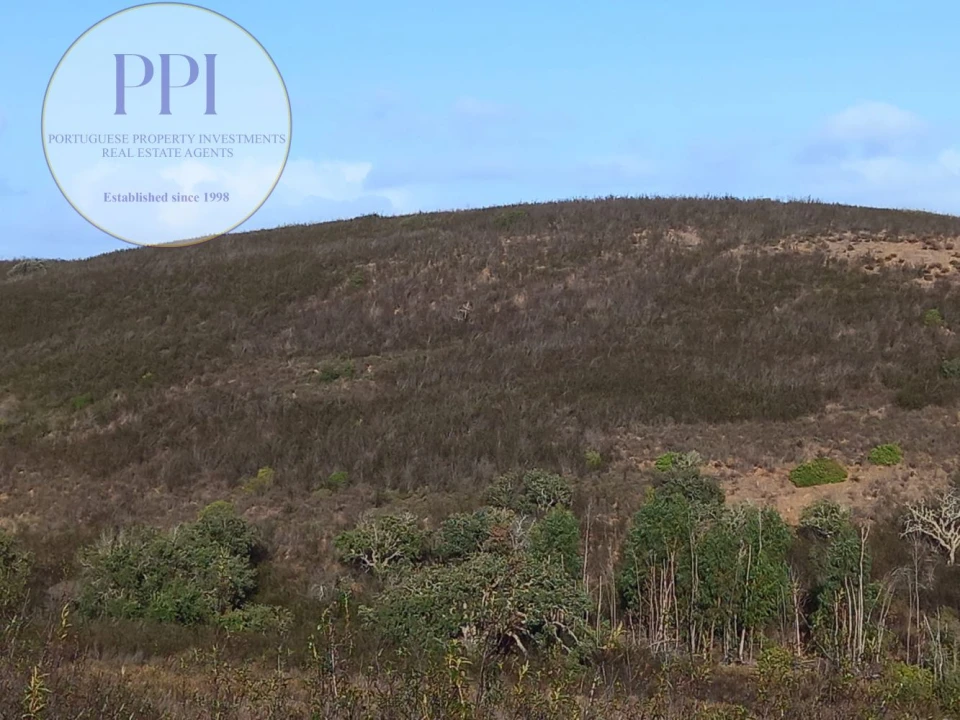 Terreno para Venda em Budens Foto 18