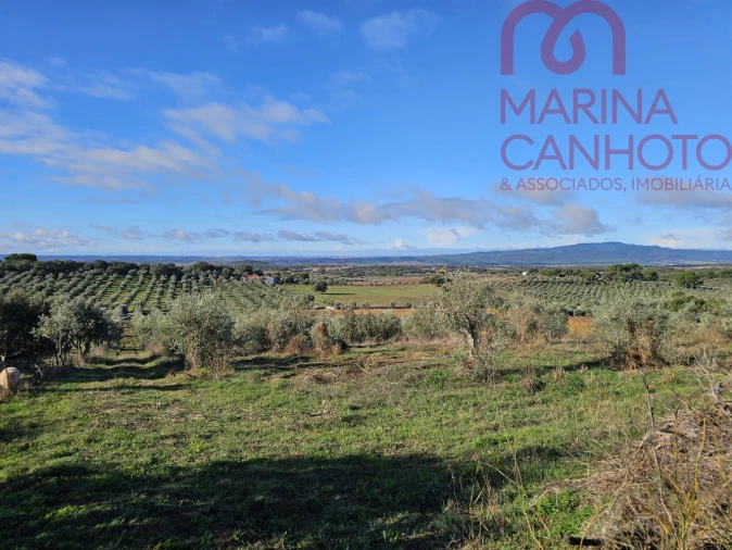 Quinta T0 para Venda em Pardais Foto 2