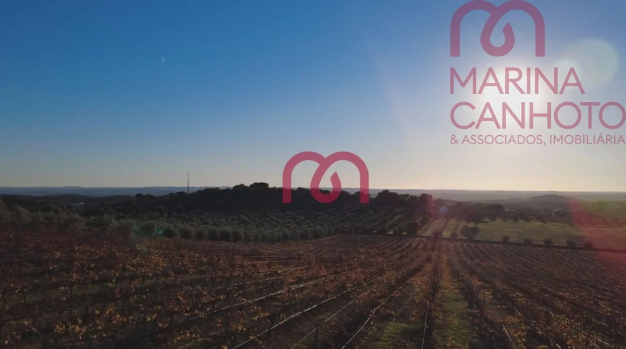 Quinta T0 para Venda em Pardais Foto 5