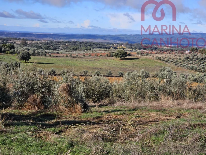 Quinta T0 para Venda em Pardais Foto 5