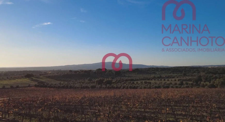 Quinta T0 para Venda em Pardais Foto 2