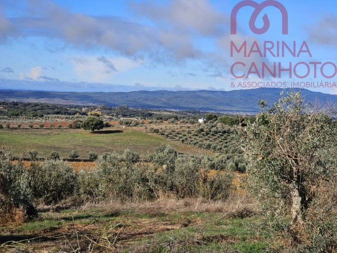 Quinta T0 para Venda em Pardais Foto 6