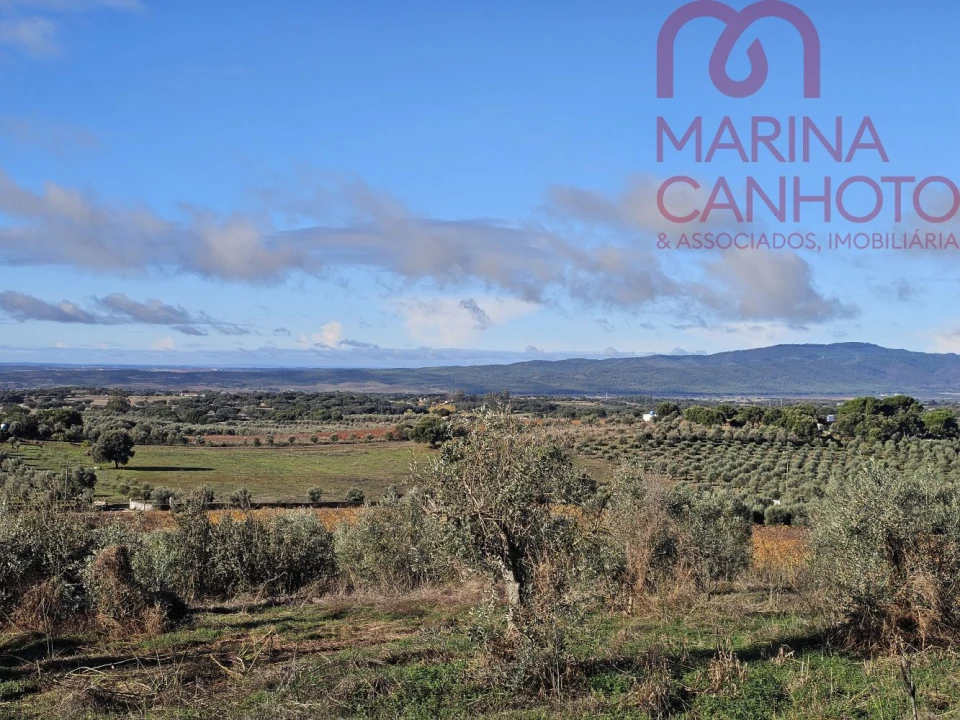 Quinta T0 para Venda em Pardais Foto 11