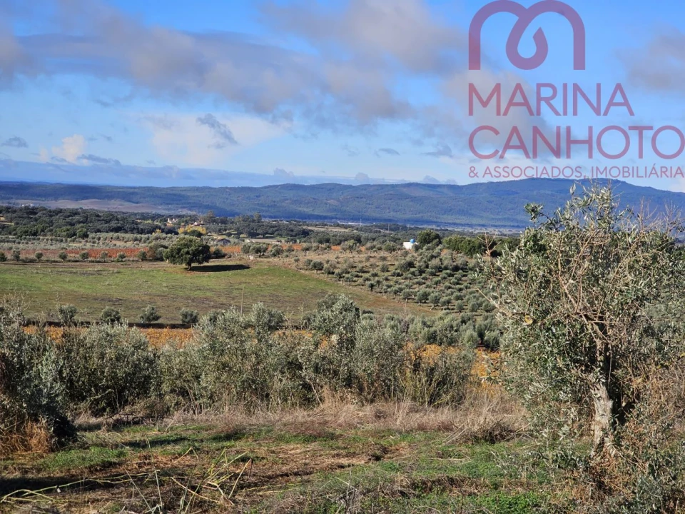 Quinta T0 para Venda em Pardais Foto 14