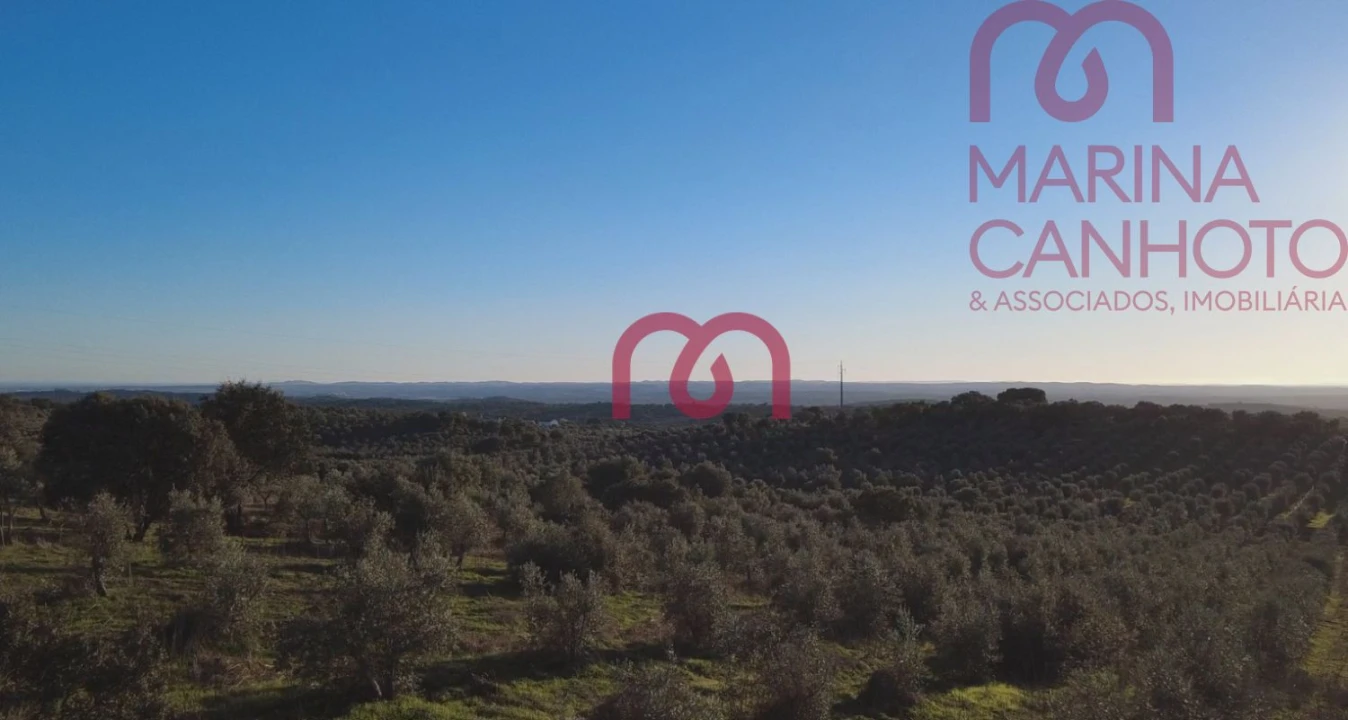 Quinta T0 para Venda em Pardais Foto 6