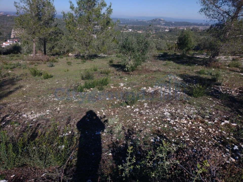 Terreno para Venda em Fatima Foto 7
