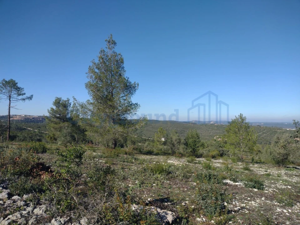 Terreno para Venda em Fatima Foto 14