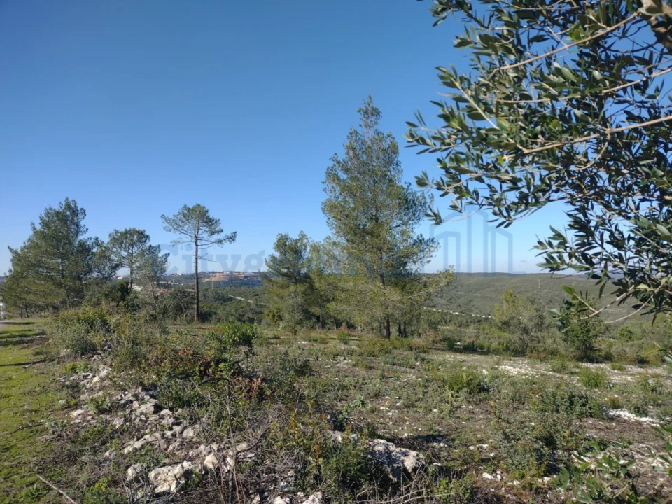 Terreno para Venda em Fatima Foto 15