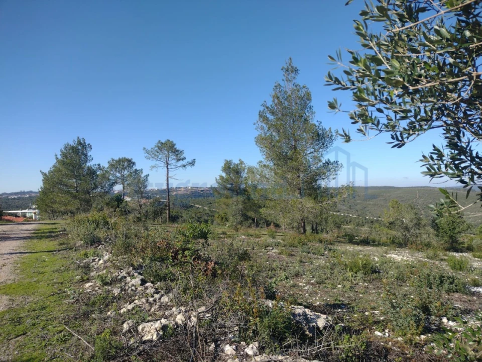 Terreno para Venda em Fatima Foto 16