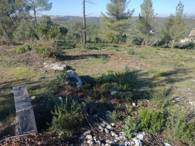 Terreno para Venda em Fatima Foto 6