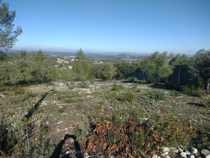 Terreno para Venda em Fatima Foto 11