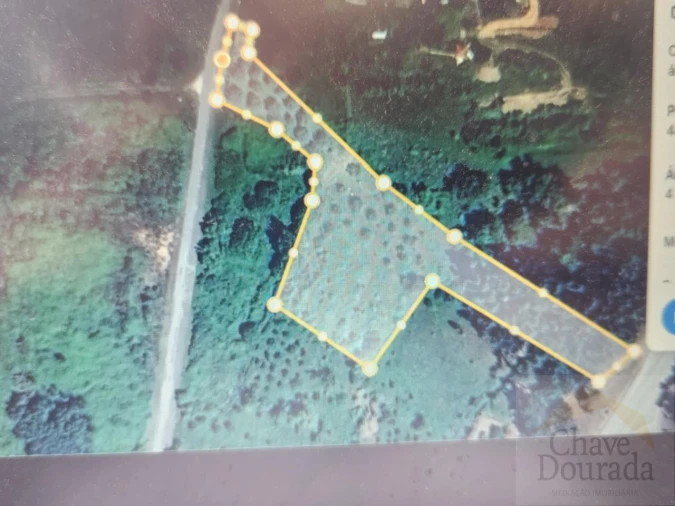 Terreno para Venda em Espinhal Foto 2