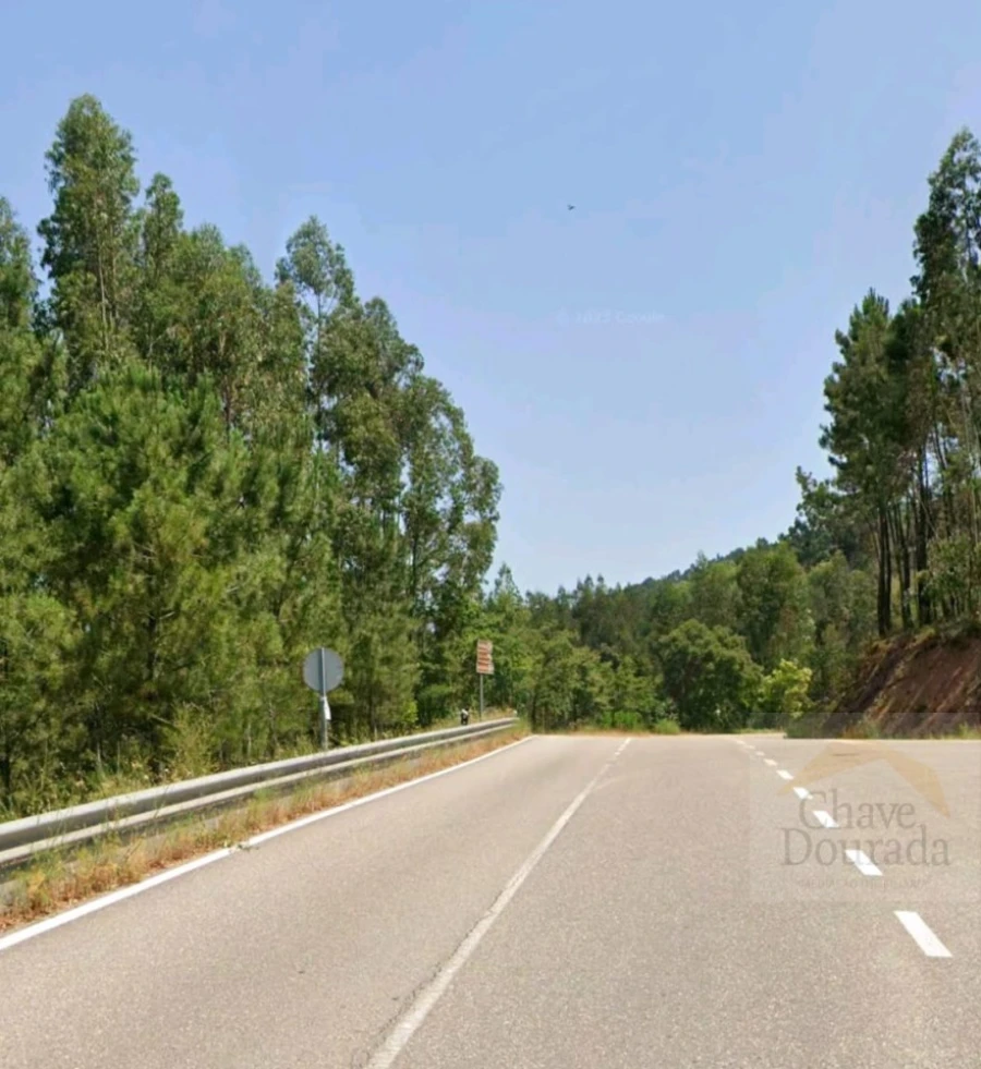 Terreno para Venda em Espinhal Foto 3