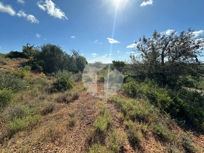 Moradia para Venda em Quelfes Foto 9