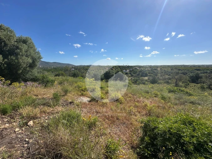 Moradia para Venda em Quelfes Foto 14