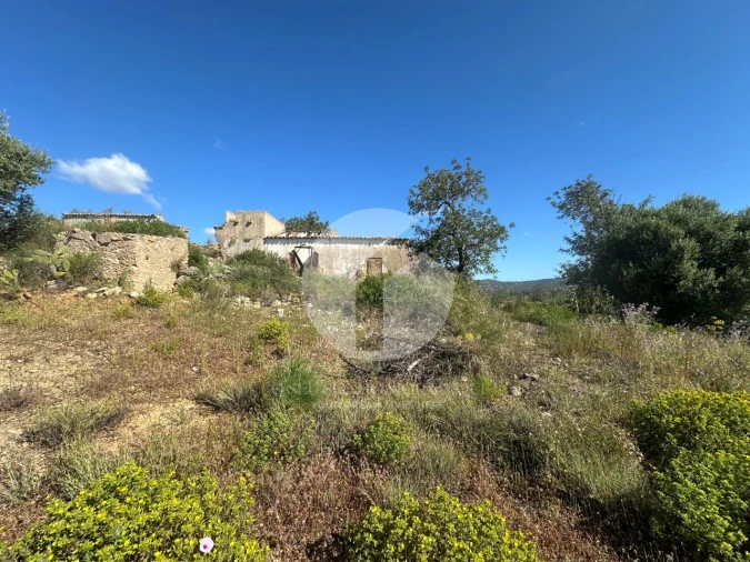 Moradia para Venda em Quelfes Foto 2